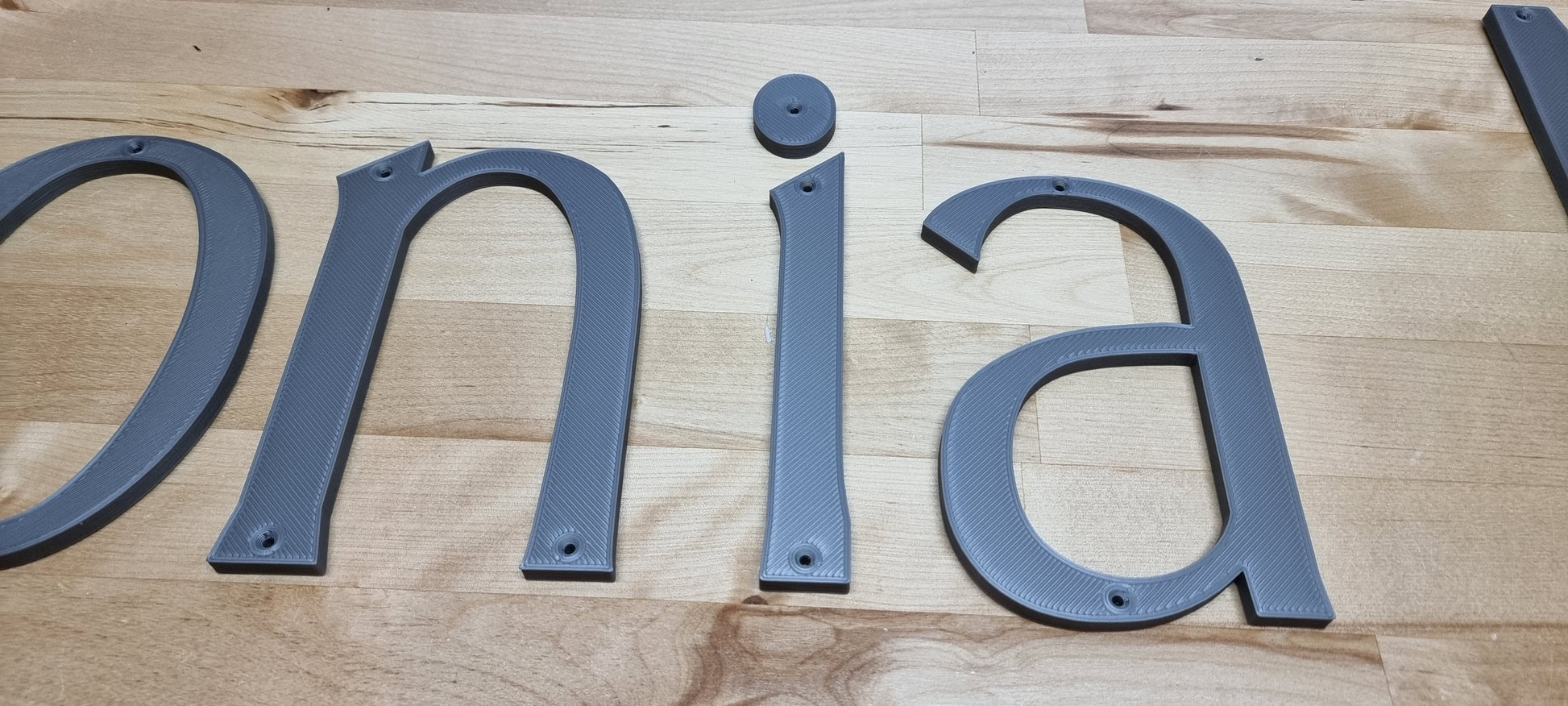 Custom Screw Mount Sign Letters (1/4in). Any Font, Size Or Color. Stunning Screw Mount Sign Letters For Offices, Meeting Rooms & More!